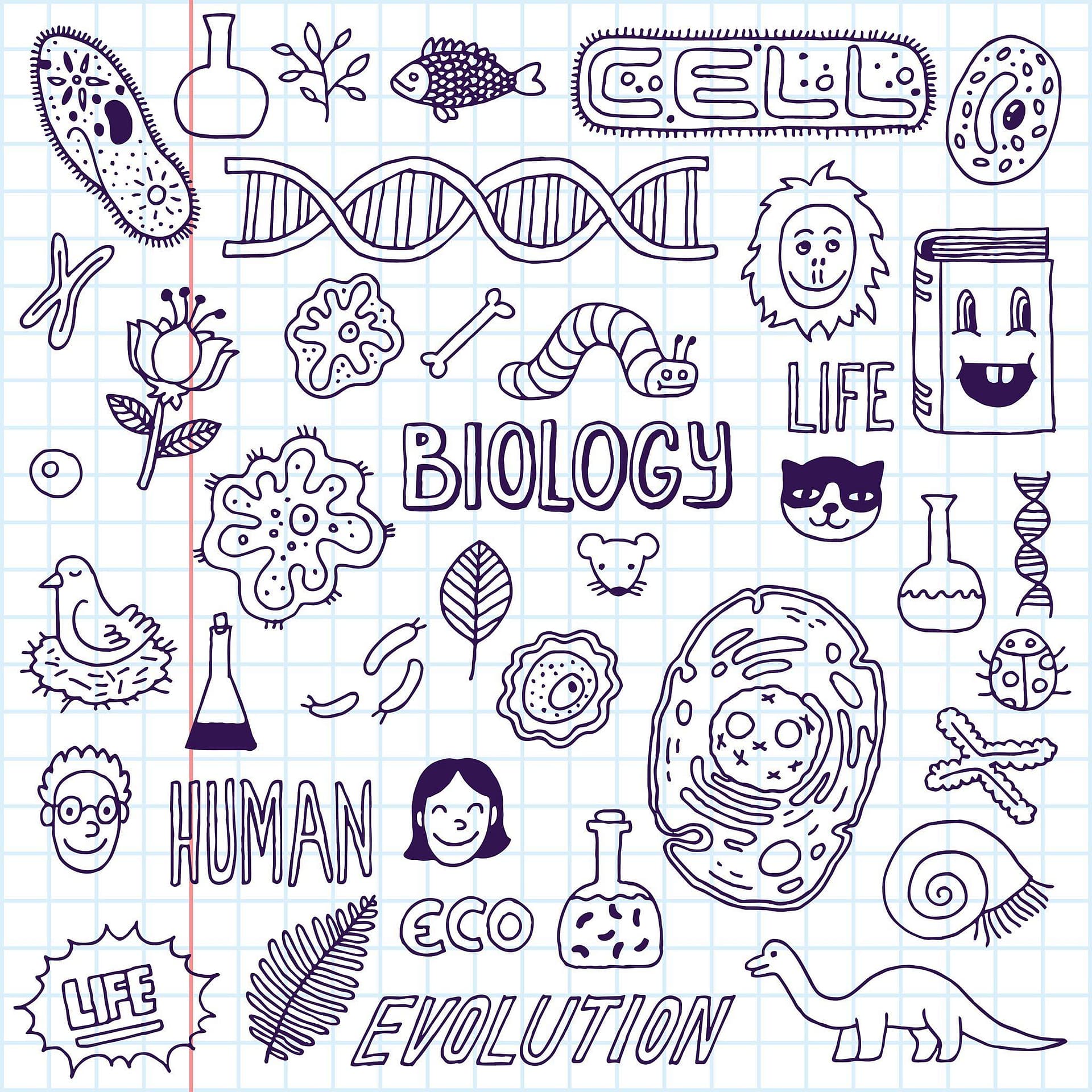 CBSE Class 12 Biology Model Question Paper 2026